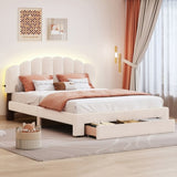 Teddy Fleece Queen Size Upholstered Platform Bed with Drawer, Beige WF309187AAA