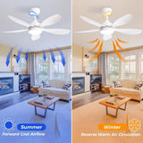 42 Inch Ceiling Fan with Light and Remote Cotnrol 6 Speeds DC Reversible Motor W934P230463