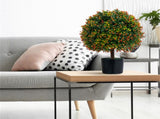 2-Pack 22" Artificial Topiary Ball Tree - 15" Boxwood BallsOrange Fruits, PE/PVCCement, 80983090