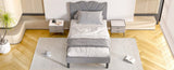 Upholstered Platform Bed W2889P272588