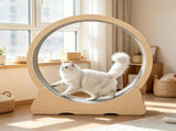 Wooden Cat Exercise Wheel 65485135