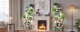 Plant Stand Indoor with Grow Lights, 9 Tiered Indoor Plant Stand, 63" Metal Plant Shelf, Tall Plant T3210P356964
