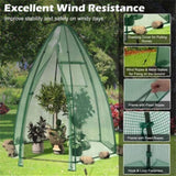 Mini Greenhouse 63" x 63" x 72" 11635613