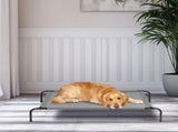 50"D x 31"W x 8"H Dog Bed 46504503