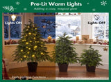 2FT, 3FT, 4FT, 3-Piece Pre-Lit Christmas Tree Set with Warm Glowing Lights, Sturdy Potted Base, and N710P523032F