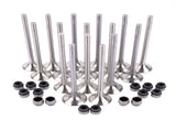 8x Intake Valves & 8x Exhaust Valves for VW Passat Beetle Audi Seat Leon 2.0 TDI 03L109601 03L109611 32822582