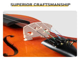 Brand new 4/4 natural tiger-striped acoustic violin set includes pitch stickers, tuner, strings, 00914911