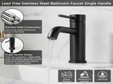 Single Handle Bathroom Faucet Lavatory Faucet Stainless Steel Single Hole-T10, Matte BlackUnable 03441011