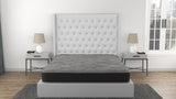 CS Hybrid Pocket Coil 8" Twin Mattress B337P293516
