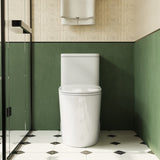 1.1/1.6 GPF Elongated Comfort Height Floor Mounted One-Piece Toilet , CUPC Certified, WaterSense B2724P246932