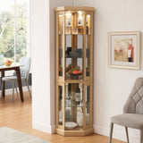 Corner Glass Cabinet Lighted Curio Cabinet Corner Display Case for Living Room, Curio Cabinet, W2275P194430