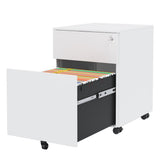 2 Drawer Mobile File Cabinet with Lock Steel File Cabinet for Legal/Letter/A4/F4 Size, Fully 73782513