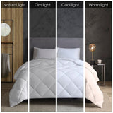 Cotton Down Alternative Featherless Comforter B03595046