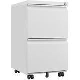 Metal 2 Drawer Mobile File Cabinet with Lock, Under Desk Office Steel Filing Cabinet, 25.6''H W1247125572