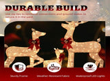 3-Piece Lighted Christmas Reindeer Set Outdoor Decorations, Weather Proof Sparkling Deer 40145997