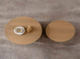 Nesting Coffee Table Set of 2 Round Wooden Coffee Tables Circle Modern Table for Small Space Living W3081P255158