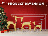 3-Piece Lighted Christmas Reindeer Family Set Outdoor Decorations, Weather Proof 2D Deer Family Set 09867947