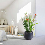Handmade Black Matte Glazed Ceramic Planter Set of 3, 15/11/9 Inch Diameter, Textured Finish for W3273P321502