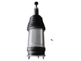 Rear Left or Right Air Suspension Strut for Tesla X 75D 90D 100D P90D P100D 2016-2018 102746100G 14456447
