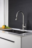 Kitchen Faucet with Pull Out Spraye 91245310