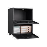 Office furniture Copier Cabinet black 2 door steel copier stand mobile pedestal file Printer Stand W1247P160443