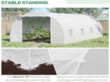 Greenhouse Walk-in Grow House 41834961