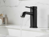 Single Handle Bathroom Faucet Lavatory Faucet Stainless Steel Single Hole-T10, Matte BlackUnable 03441011