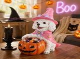 Halloween White Teddy Puppy Figurine, Witch Dog Holding Pumpkin Candy Bowl Decoration 01838696