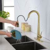 ZNTS Gold Kitchen Faucets with Pull Down Sprayer, Kitchen Sink Faucet with Pull Out Sprayer,Fingerprint 93404954