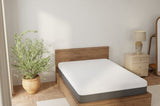 Omne Fria 12 Inch California King Soft Mattress With Cooling Cover B047P316886