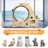 Cat Wheel 6-in-1 Cat Exercise Wheel,Upgraded Cat Wheel Exerciser for Indoor Cats,Large Cat W1790133437