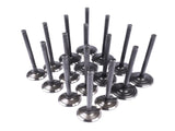 Intake & Exhaust Valve Kit Replacement for Toyota 4Runner T100 Tacoma 2.7L l4 DOHC 3RZFE 13711-75060 16861955