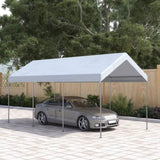 Party Tent 66536640