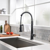 Faucet for Kitchen Sink, Black Kitchen Faucet with Pull Down Sprayer, Modern Commercial Spring W1932P154734