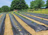 XISHAN 8'X300' Black HDPE 70 Gram Weed Barrier Fabric 70574124