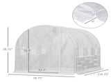 Mini Walk-in Greenhouse 56503856