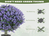 Artificial Plant/Green plants 06327624