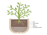100% Recycled Resin Planter, Khaki Chino, 15.8in x 15.8in x 12in 47851475