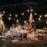 Set of 6 RC String Light Pole, 9 FT Lighting Stand with Horn Shape Hooks, LED Solar Bulbs for W2181P152206