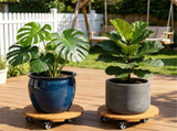Set of 4 Natural Finish Wooden Plant Pot Mover, Portable Round Plant Stand with 4 Wheels, Sturdy 52654178
