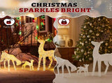 3-Piece Lighted Christmas Reindeer Family Set Outdoor Decorations, Weather Proof Deer Family Set of 49296917