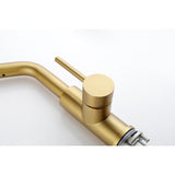 Single Handle Kitchen Sink Faucet with Pull Out Sprayer W2287P154031