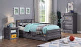 Gunmetal 1-Door Chest with Container Lock B062P209021