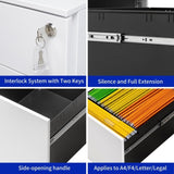 2 Drawer Mobile File Cabinet with Lock Steel File Cabinet for Legal/Letter/A4/F4 Size, Fully W252125346