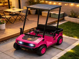 24V Kids Golf Cart 2WD 2-Seater Soft Start Rear Suspension Pink 93382424