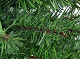 2 Feet Tabletop Unlit Christmas Tree 30867818
