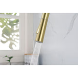 Kitchen Faucet with Pull Down Sprayer W2287P152910