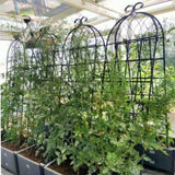 2 Pack Metal Garden Trellis 71" x 19.7" Rustproof Trellis for Climbing Plants Outdoor Flower Support W1586104494