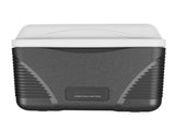 Portable Cooler 8.5 Quart, Hard-Sided Insulated Cooler with Ice Retention, Heavy-Duty Handles & 86648550
