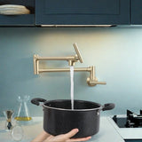 Pot Filler Faucet - Wall Mount Kitchen Sink Faucet Folding Stretchable with Single Hole Two Handles, W1243P262577